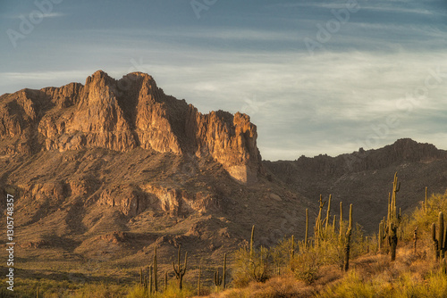View of Peralta Regional Park