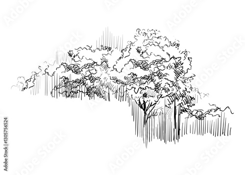 Hand drawing landscape forest with trees vector illustration