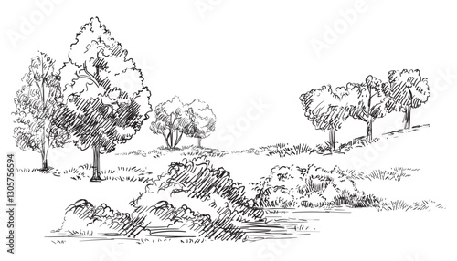 Hand drawing landscape field and trees vector illustration