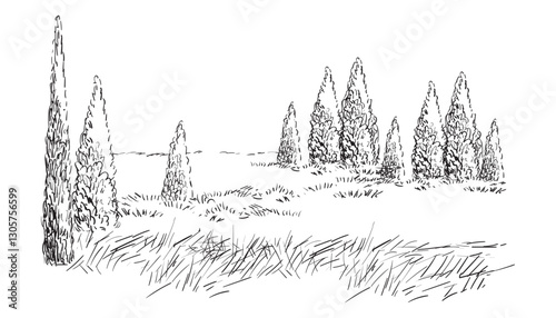 Hand drawing landscape evergreen trees vector illustration