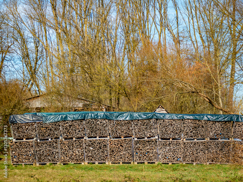 Brennholz lagert auf einer Wiese photo