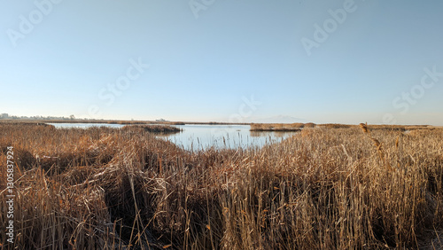 Spring Landscape Views of Ogden Bay Waterfowl Management Area, Hooper Utah