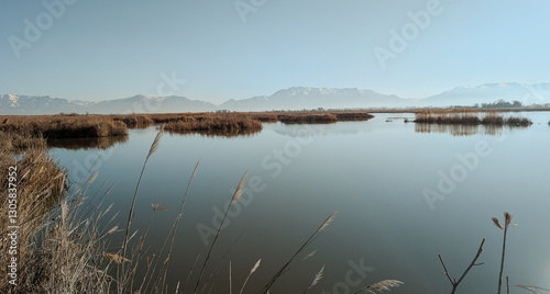 Spring Landscape Views of Ogden Bay Waterfowl Management Area, Hooper Utah