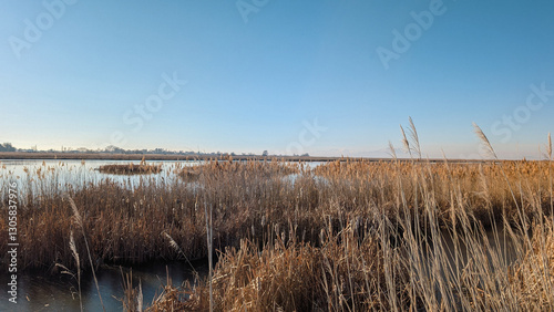Spring Landscape Views of Ogden Bay Waterfowl Management Area, Hooper Utah