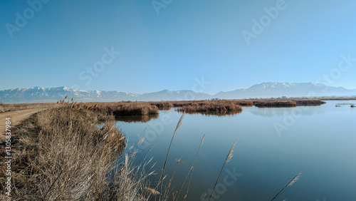 Slika na platnu Spring Landscape Views of Ogden Bay Waterfowl Management Area, Hooper Utah