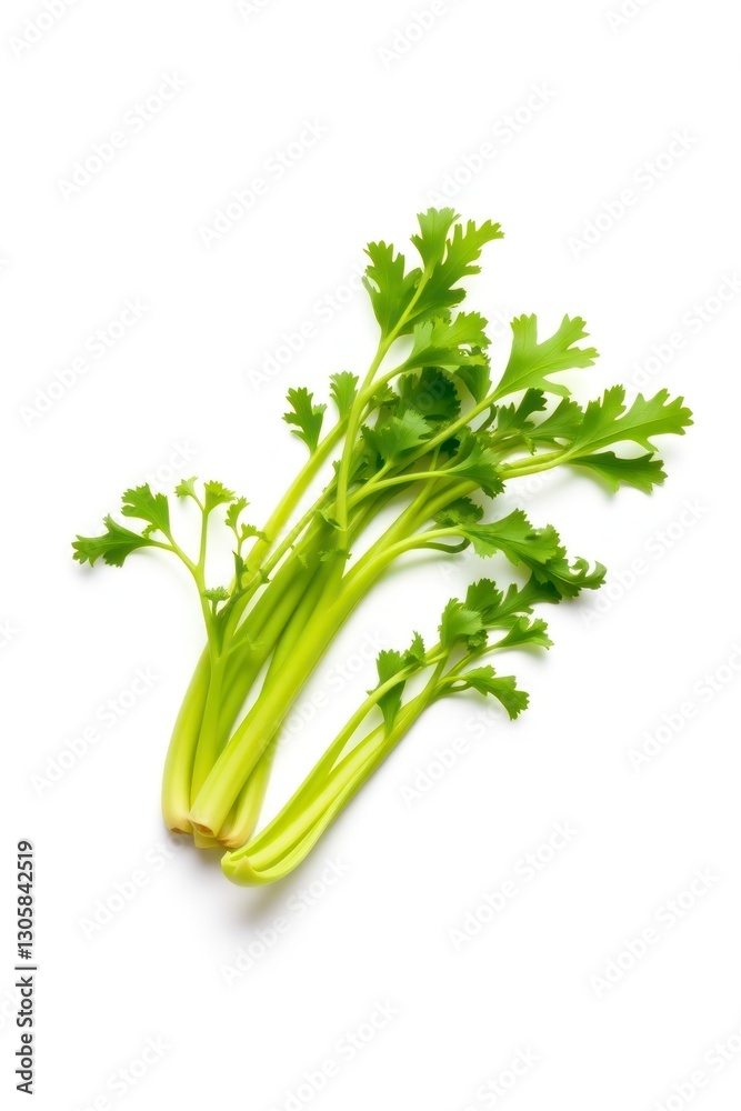 A minimalist image of celery against a pure white background A minimalist image of celery against a pure white background