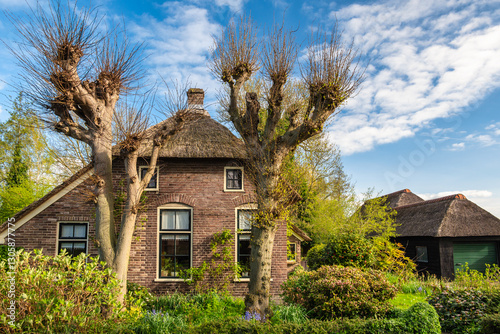 Obraz na płótnie Giethoorn Netherlands, city skyline at canal and traditional house in Giethoorn village w salonie