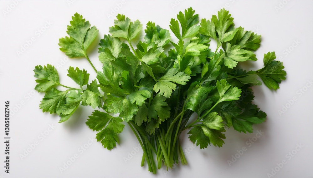 Fresh Parsley Sprigs Fresh Parsley Sprigs