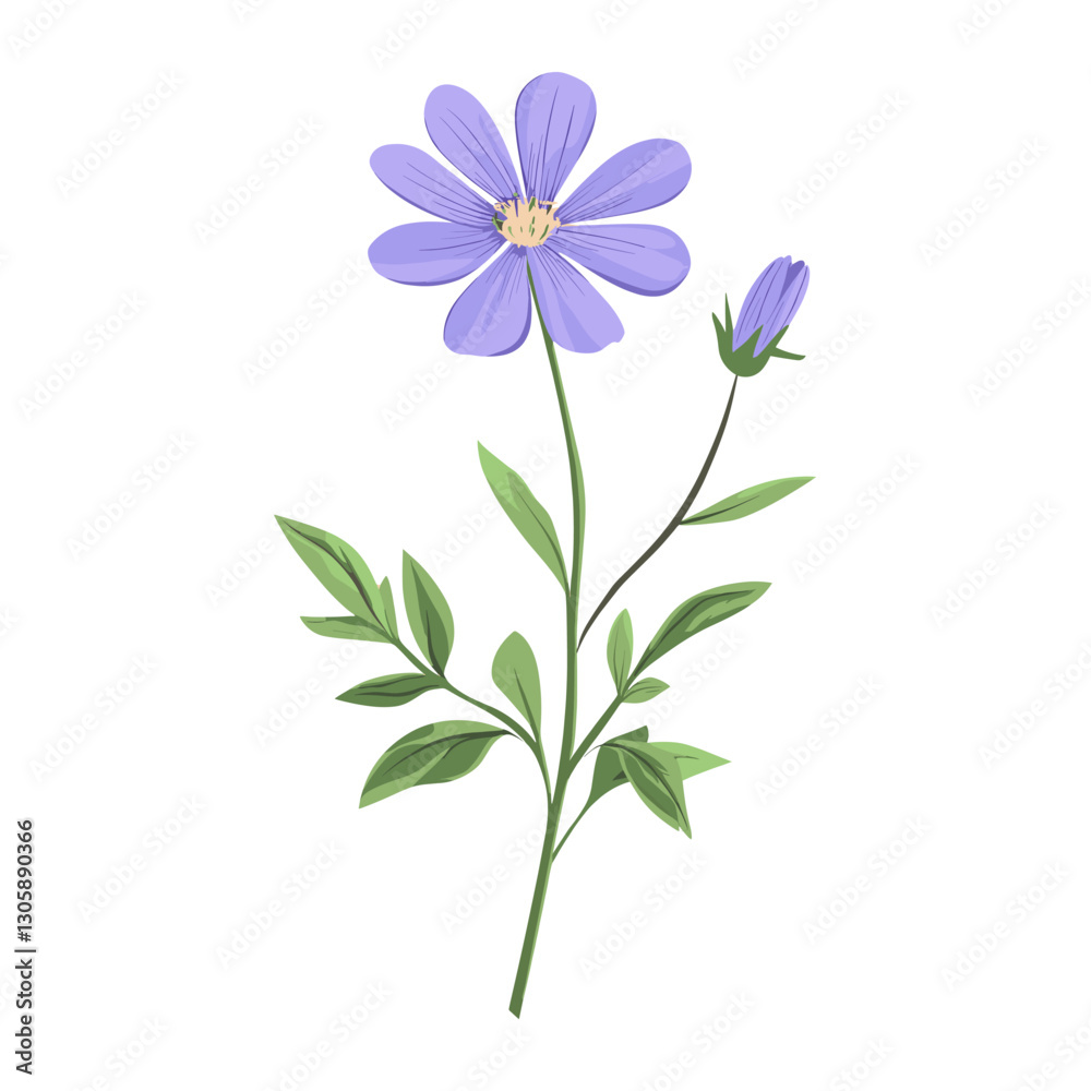 A wildflower clip art illustration design asteraceae vector A wildflower clip art illustration design asteraceae vector