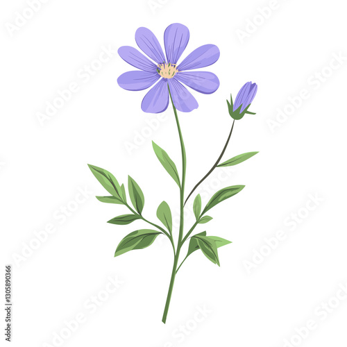 A wildflower clip art illustration design asteraceae vector