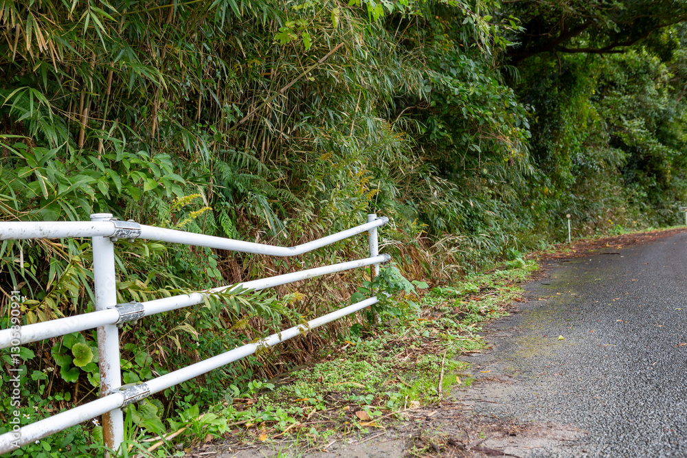 荒れた道路端のガードレール