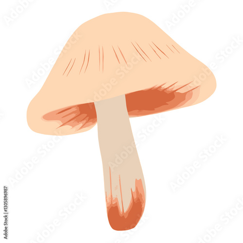 Mushroom fungus agaric white background  vector