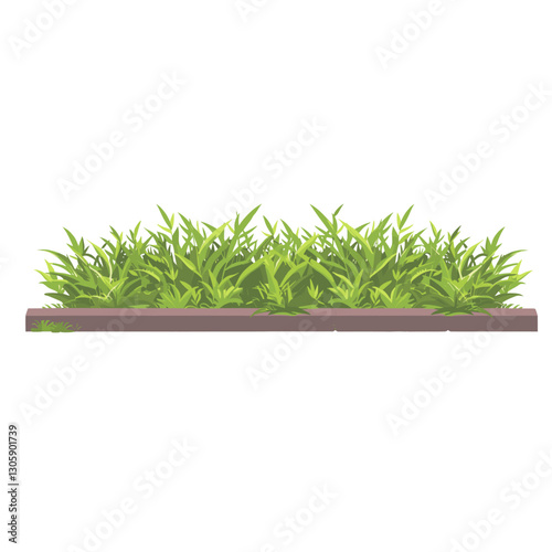 Grass garden border illustration plant vegetation vector