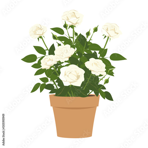 Potted plant white roses illustration flower potted vector