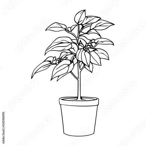 Monstera deliciosa tree in pot drawing art plant vector