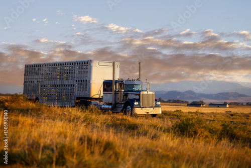 semi-truck eighteen wheeler with stock livestock cattle trailer on dirt road mountain truck rig 