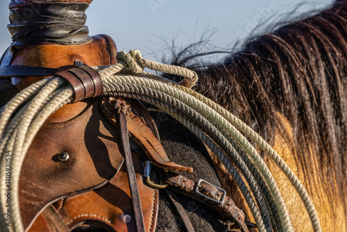 western saddle with rope tied lariat