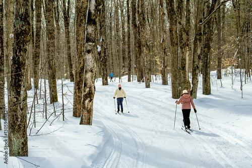 Fototapeta Naklejka Na Ścianę i Meble -  Nordic skiers on a groomed trail in the forest  at a cross county ski resort in Ontario Canada