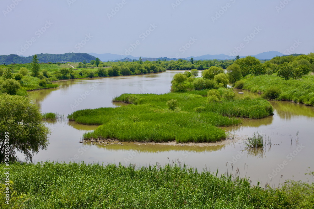 Scenic Wetland Ecosystem Along the Geum River in Buyeo County Scenic Wetland Ecosystem Along the Geum River in Buyeo County