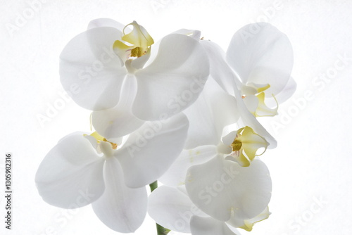 varias
