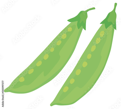 さやえんどう 緑黄色野菜 ベクター素材