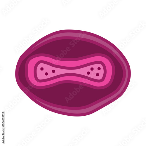 Monkeypox virus 

