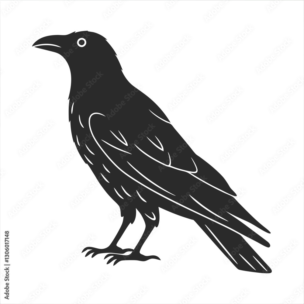 Fototapeta premium Crow Silhouette vector illustration