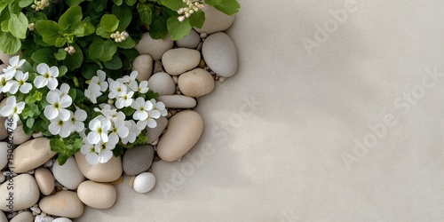 This elegant image displays the beauty of white flowers and smooth stones arranged on a textured surface, highlighting nature's artistry and organic harmony.