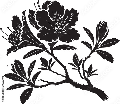 Jasmine Flower Vector Illustration, Jasmine Flower silhouette vector icon black and white