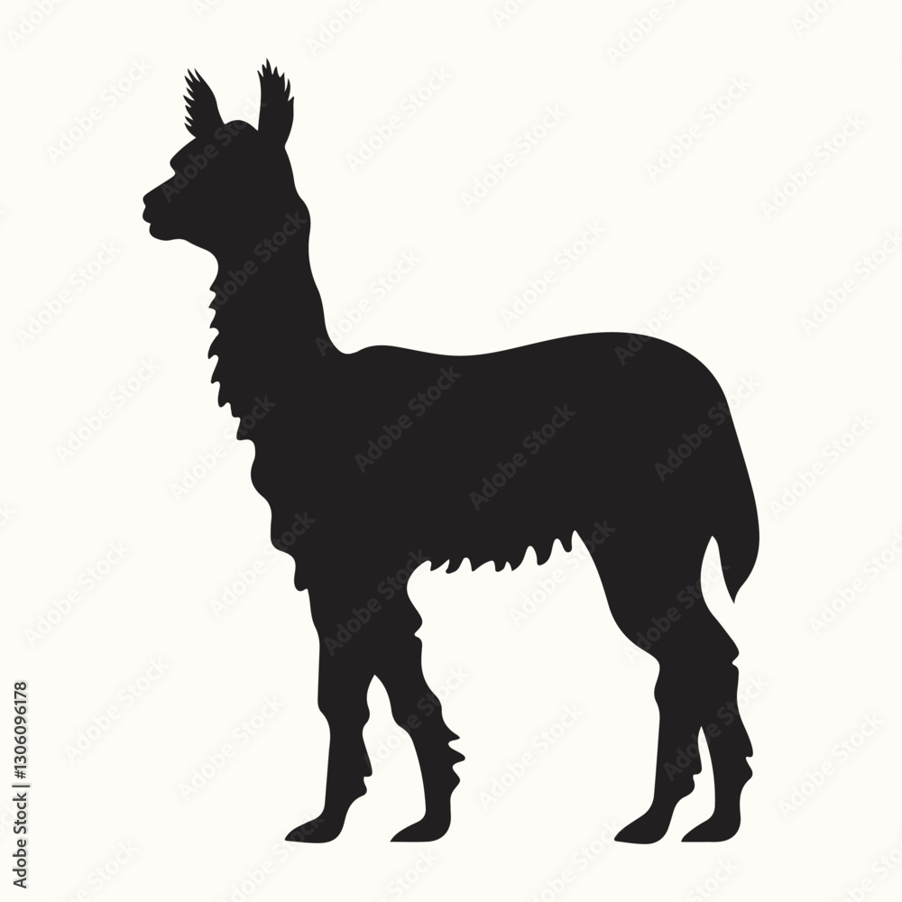 Fototapeta premium Alpaca Silhouette, Pasture