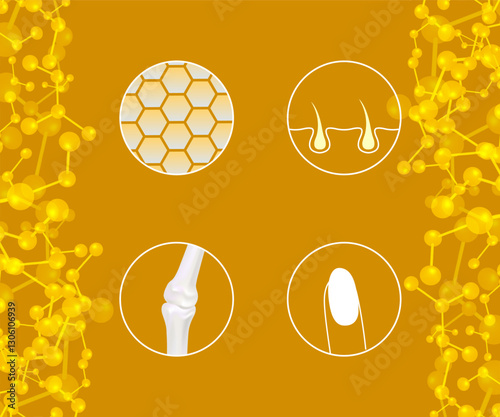 Hyaluronic acid skin hair nails bone and joint solutions ad, gold collagen serum drop with cosmetic advertising background ready to use, illustration vector.