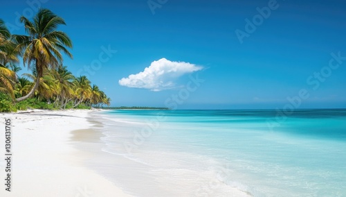 A serene beach scene with white sand  turquoise water  and palm trees in the background. The sky is a clear blue with one small cloud above the horizon line.