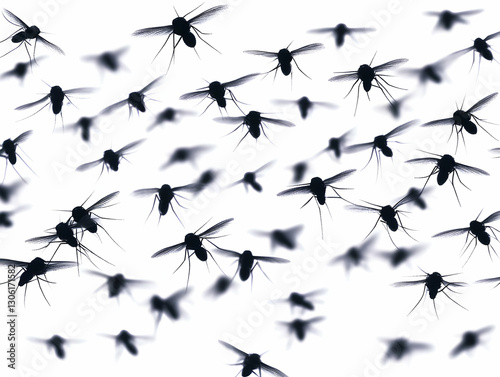 Abstract Illustration Of Black Mosquitoes Swarm Flying Against White
