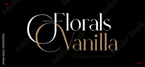 Luxury beauty font alphabet logo. Typography grand beautiful fashion elegant classic letters serif italic fonts wedding vintage retro logos. vector illustration