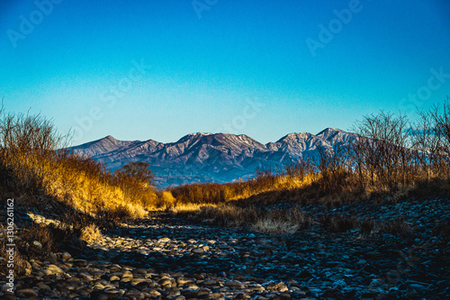清らかな山の風景