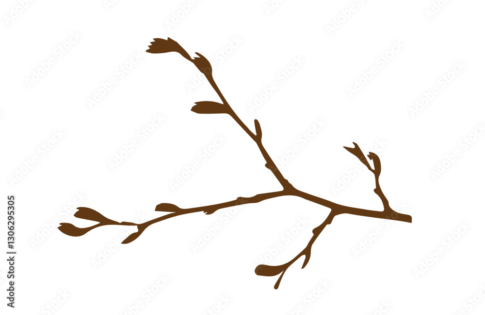 Fototapeta premium a brown tree branch on a white background,
