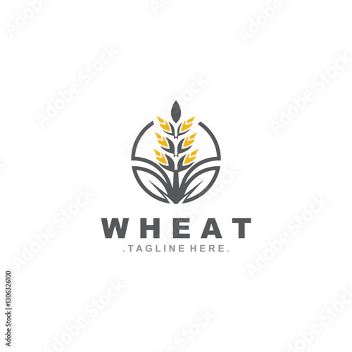 Wheat logo concept, agriculture nature wheat grain logo template