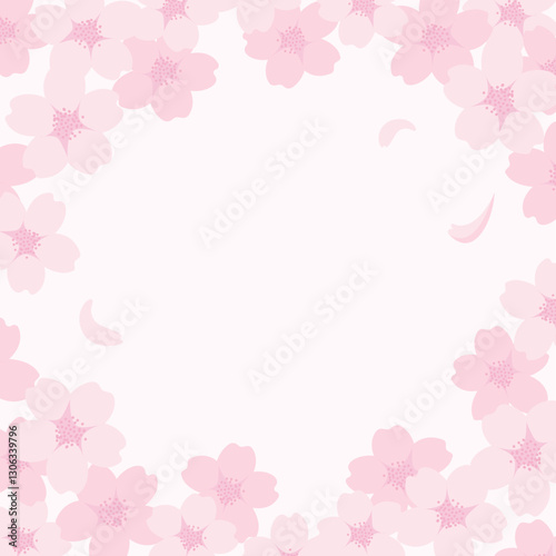 spring vector background with pink cherry blossoms, sakura flowers frame