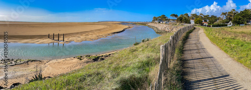 pedestrian path on the seaside in the nature reserve of the beautiful henriette in vendee, faute sur mer ,  france