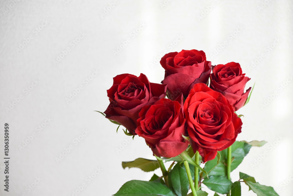 赤い薔薇 赤い薔薇