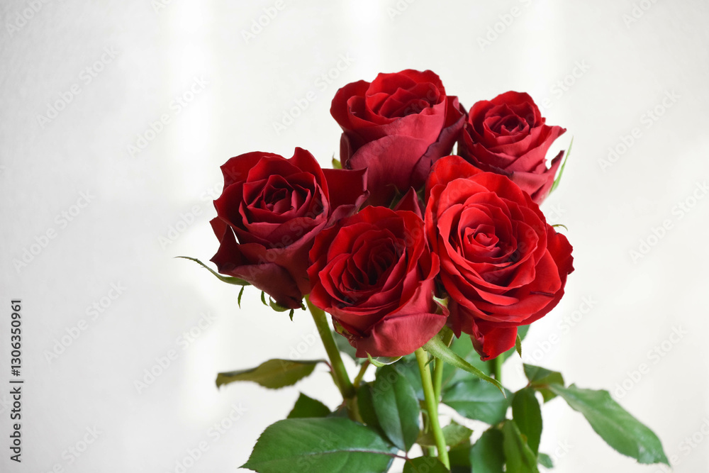 赤い薔薇 赤い薔薇