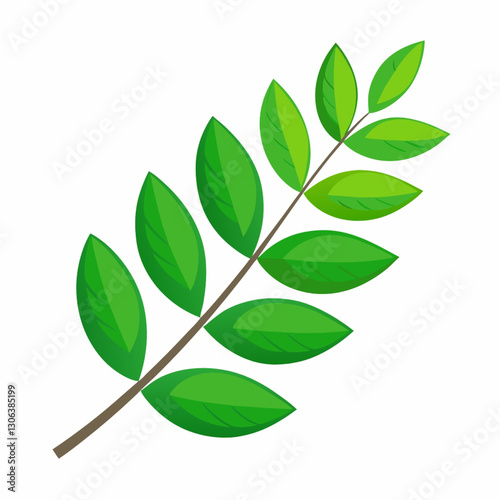 Curry leaf illustration isolated on white background