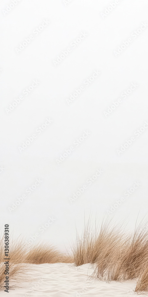 Soft golden grasses sway gently under a white sky on a serene beach landscape Soft golden grasses sway gently under a white sky on a serene beach landscape