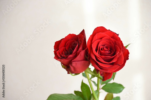 赤い薔薇