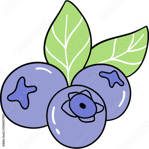 Fresh Blueberry Doodle