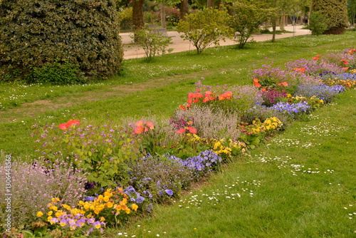 Flower bed with color flowers in park. Springtime.