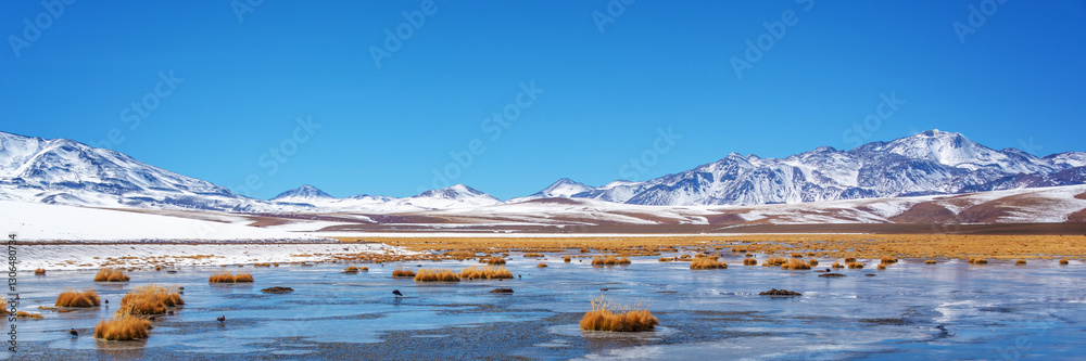 Putana wetland and snow mountains in Atacama, panoramic scenic landscape, Chile