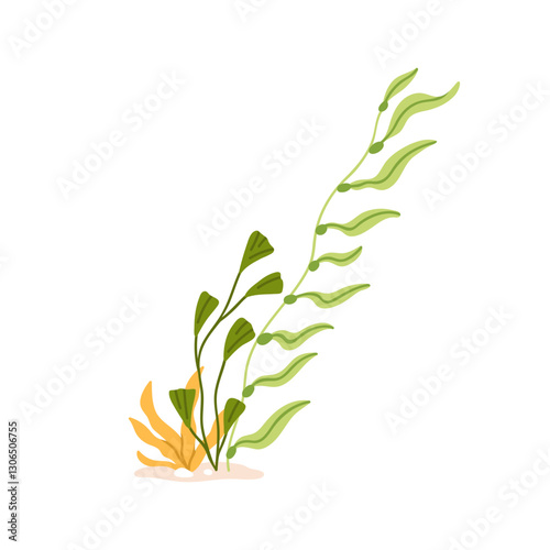 Seaweed, underwater plant. Green leaf flora in deep sea. Floral alga growing in ocean water. Exotic tropical marine grass, weed, undersea nature. Flat vector illustration isolated on white background