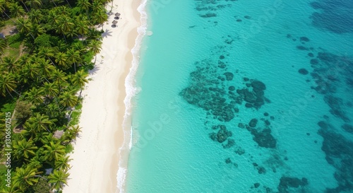 Wallpaper Mural Virginia tropical beach aerial view with clear blue water, waves, and sandy coastline Torontodigital.ca