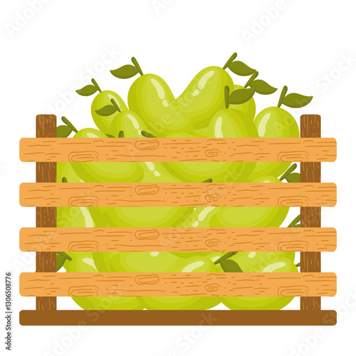 Fresh Fruits in Wooden Crates. Fresh Mangoes Illustration